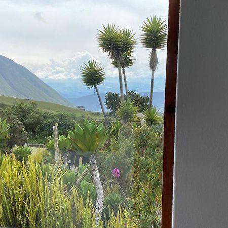 火山口乡村民宿 San Antonio  外观 照片